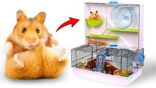 A Lot Of Fun For Your Hamsters: Unboxing Critterville Arcade Hamster Home!