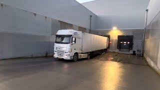 POV Driver DAF XF 510  Semi Truck Loading