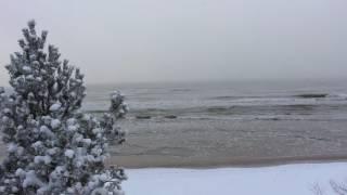 Winter an der Ostsee - Gribow, Januar 2017