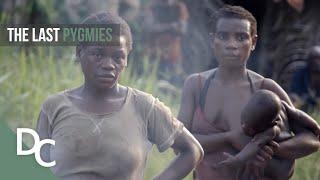 Surviving In The Isolated Rainforest | Extreme Tribe| Part 3 | Documentary Central