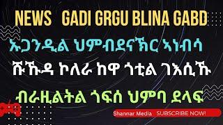 Eritrean Blin News Gadi Grgu Blina Gabd Teleqsakhw