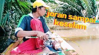 mancing udang galah di pesisiran sugai kakap || pemancing kuburaya || mancing liar