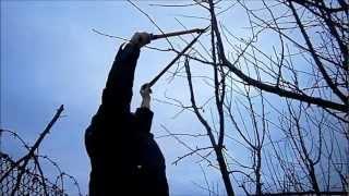 Taieri de primavara la meri maturi-pruning the old apple 2012