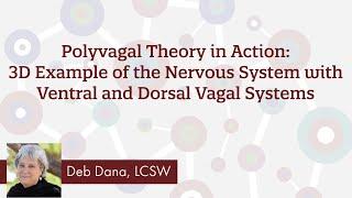 Polyvagal Theory in Action: 3D Example of the Nervous System with Ventral and Dorsal Vagal Systems