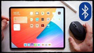 iPad mit Maus verbinden und einrichten + alle Einstellungen 