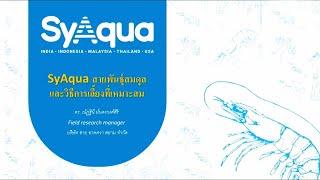 SyAqua สายพันธุ์สุมดุล และวิธีการเลี้ยงที่เหมาะสม