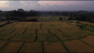 #1 Ubud House Build // And So It Begins