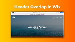 Header Overlap in Wix | Inside Wix