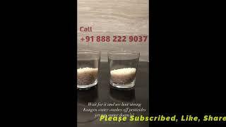 Strong Kangen 11 5Ph Water | Rice Test | Pesticide Removal | Active Hydrogen