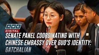 Senate panel coordinating with Chinese Embassy over Guo's identity: Gatchalian