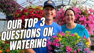 Our Top 3 Questions on Watering - We Answer These Questions All the Time