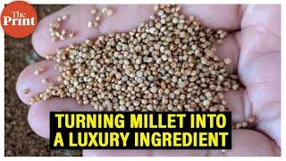 How ICAR scientists are turning the humble millet into a 'luxury' ingredient