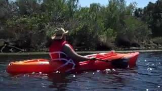 Bayou Cane to Lake Ponchartrain