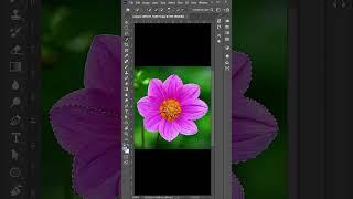 How to Use New Object Selection Tool Photoshop CC #photoshop #design