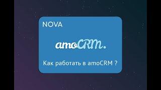 Общие настройки в amoCRM