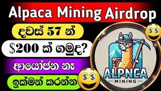 Alpaca Mining Airdrop Sinhala | New Telegram Project | Passive Incom #crypto  @woow_money_tv