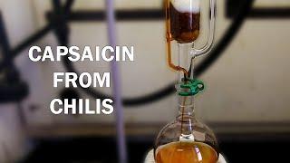 How to extract capsaicinoids from chili peppers