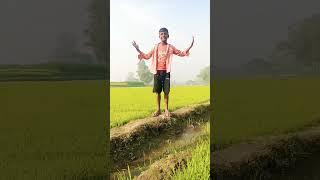 Mohra Ashish mare. short video. Khaldur 555tv