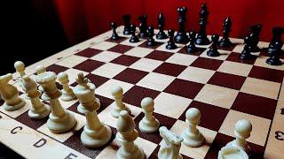 Шахматы с НУЛЯ. Уроки шахмат для начинающих. Шахматы для детей. Полный курс шахмат с начала. Урок 1.