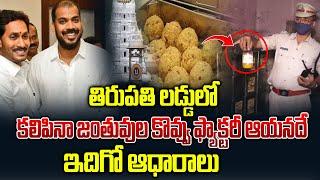 తిరుపతి లడ్డులో కలిపినా జంతువుల కొవ్వు ఫ్యాక్టరీ ఆయనదే ఇదిగో ఆధారాలు | Tirupati Laddu Issue Facts