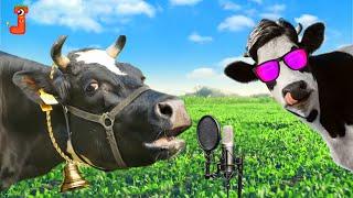 FUNNY COW DANCE 4 × Qurbani Song │ Cow Song & Cow Videos 2024 | Gaiya | gai | funny dancing cow