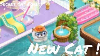 New Update - Secret Cat Forest