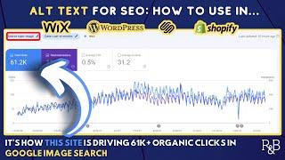 How to Use Alt Text For On Page SEO: Image SEO for WordPress, Wix, Shopify, and Squarespace