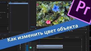 Adobe Premiere Pro. Как изменить ЦВЕТ Объекта видео