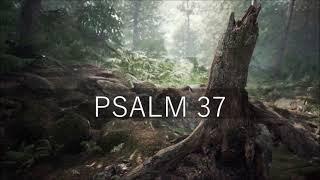 PSALM 37 / Lebenslehre eines Weisen