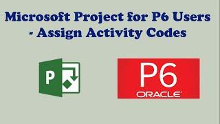 Assign Activity Codes to Tasks in Microsoft Project