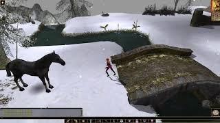 Neverwinter Nights EE Tyrants of the Moonsea Gameplay (PC Game)