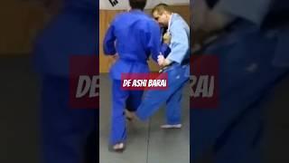 DOUBLE STEP DE ASHi BARAI BY DAVID LOSHELDER #judotraining #judoforbjj #bjj #europeanjudo #usajudo