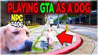 I Pretended To Be a DOG NPC in GTA RP and Trolled The Whole Server | DonDada RP