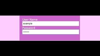 HTML form with input type password || HTML and CSS