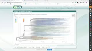 Whole Genome Sequencing (WGS) Covid-19