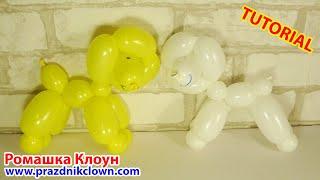 СОБАЧКА ИЗ ШАРИКА ШДМ пудель Balloon Animal Dog DIY TUTORIAL