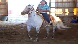 Girl Horse Riding - Riding Lovers Official - HD