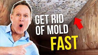 Crawl Space MOLD REMOVAL Tips - Kill MOLD in your crawlspace - Twin Plumbing