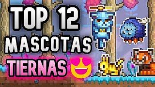 TOP 12 Mascotas MAS  LINDAS De  Terraria y Como Conseguirlas 