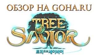 Обзор Tree of Savior от портала GoHa.Ru