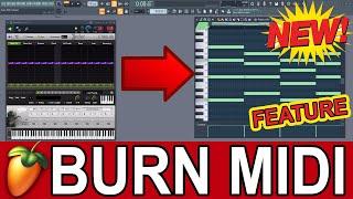 BURN MIDI -  Record Midi Output From Any Midi Generator (Chord / Scale VST) Into the Piano Roll