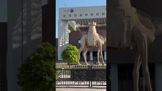 The hub of urban planning and development – Dubai Municipality Building, a symbol of progress