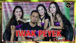 Iwak Peyek - Trio Macan - OM ADELLA