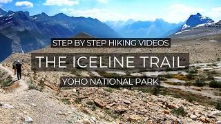 The Iceline Trail: Your Step By Step Hiking Guide To Alpine Adventure