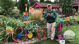 The Sensory Garden: Smell, Touch, Look And Listen