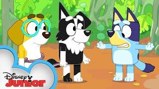 Bluey Plays Shop ️ | Bluey | Disney Junior