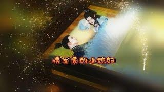 《将军家的小娘子》1~402