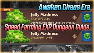 Speed Farm Exp Dungeon Guide for Hero Level Up Events | Awaken Chaos Era