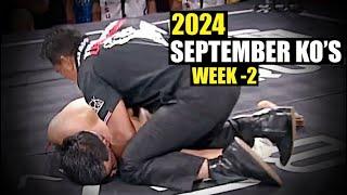 MMA & Boxing Knockouts I September 2024 Week 2