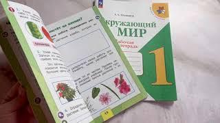 Окружающий мир 1 класс. Рабочая тетрадь в 2-х частях. Комплект. Плешаков А.А.